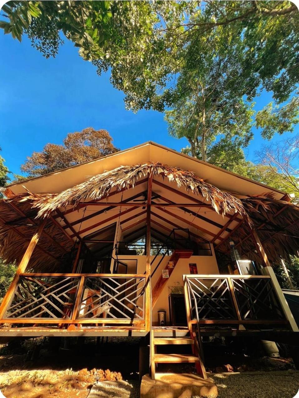 Evolution House Jungle Oasis Villa Hone Creek Buitenkant foto