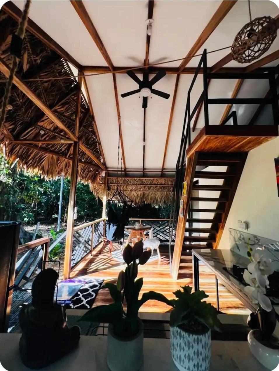 Evolution House Jungle Oasis Villa Hone Creek Buitenkant foto